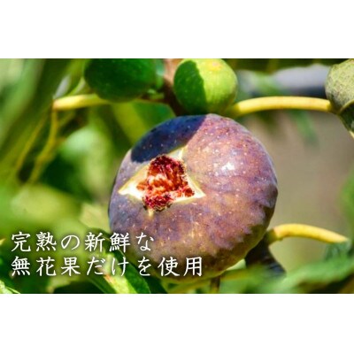 使うのは福島のいちじくだけ!いちじくコンポート　アウトレット品500g　デザート・お菓子作りに