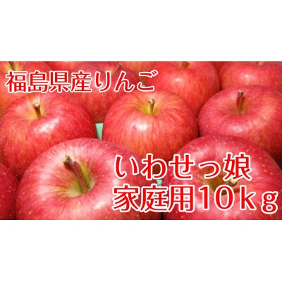 【訳あり家庭用りんご】福島県のリンゴ　いわせっ娘10kg(32～46玉)