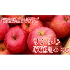 【訳あり家庭用りんご】福島県のリンゴ サンふじ5kg(16～22玉)