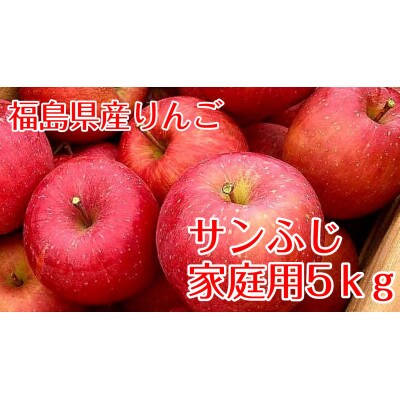 【訳あり家庭用りんご】福島県のリンゴ　サンふじ5kg(16～22玉)