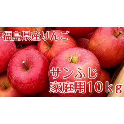 【訳あり家庭用りんご】福島県のリンゴ　サンふじ10kg(32～46玉)　