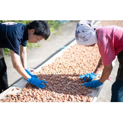 阿部農縁の採れたて野菜でBBQ!農業体験と野菜たっぷりバーベキュープラン　2名様