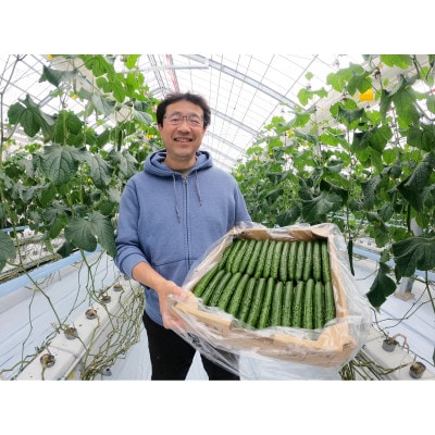 福島県須賀川市産【岩瀬キュウリ15kg】産地直送のパリパリ新鮮きゅうり
