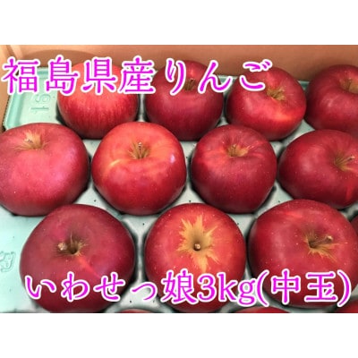 福島県のりんご　蜜入りリンゴいわせっ娘　中玉3kg(8～14玉)