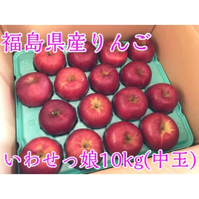 福島県のりんご　蜜入りリンゴいわせっ娘　中玉10kg(36～46玉)