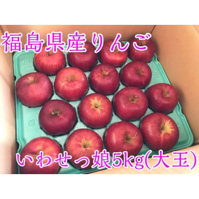 福島県のりんご　蜜入りリンゴいわせっ娘　大玉5kg(14～16玉)
