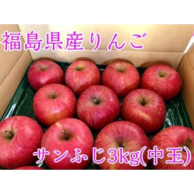 福島県のりんご　蜜入りリンゴサンふじ　中玉3kg(8～14玉)