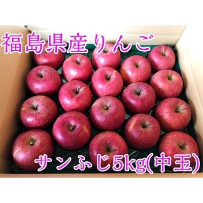 福島県のりんご　蜜入りリンゴサンふじ　中玉5kg(16～22玉)