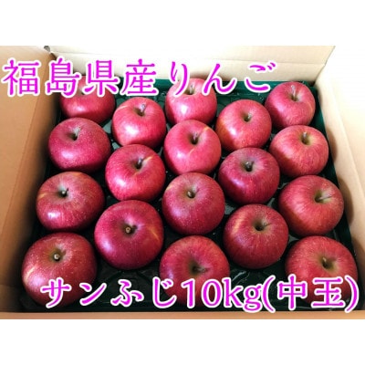 福島県のりんご　蜜入りリンゴサンふじ　中玉10kg(36～46玉)