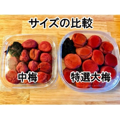 阿部農縁　農家の無添加手作り梅干し　特選大梅250g　昔ながらの天日干し