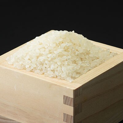 【地元ブランド】令和6年産岩瀬清流米(精米　20kg)