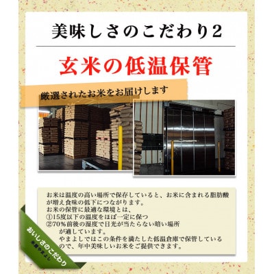 令和6年産　福島県須賀川産　ミルキークイーン　白米20kg(5kg×4袋)