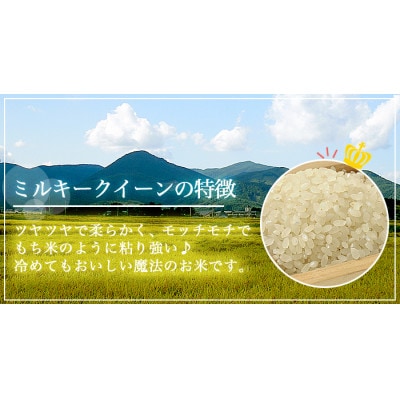 令和8年産　福島県須賀川産　ミルキークイーン　白米30kg(5kg×6袋)