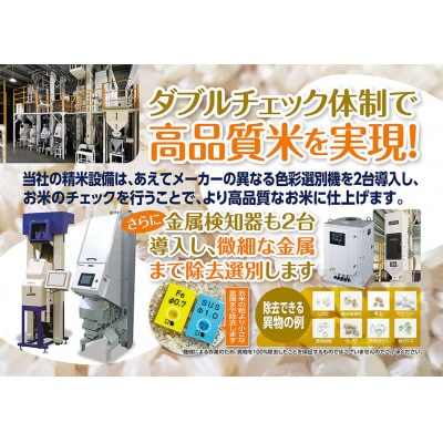 令和6年産　福島県須賀川産　ミルキークイーン　白米10kg(5kg×2袋)