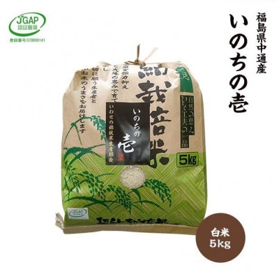 【新米受付】令和7年産須賀川市産いのちの壱 精米5kg JGAP認証農場で栽培したお米です。