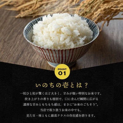 【新米受付】令和7年産須賀川市産いのちの壱 精米5kg JGAP認証農場で栽培したお米です。