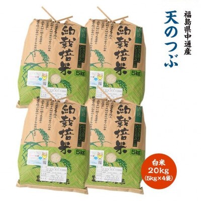 令和7年産須賀川市産天のつぶ　精米20kg(5kg×4袋)