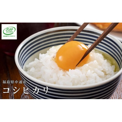 【新米受付】令和8年産須賀川市産コシヒカリ　精米15kg　JGAP認証農場で栽培したお米です。