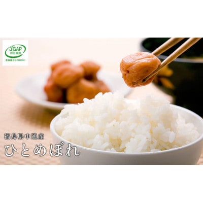 【新米受付】令和8年産須賀川市産ひとめぼれ　精米27kg　JGAP認証農場で栽培したお米です。