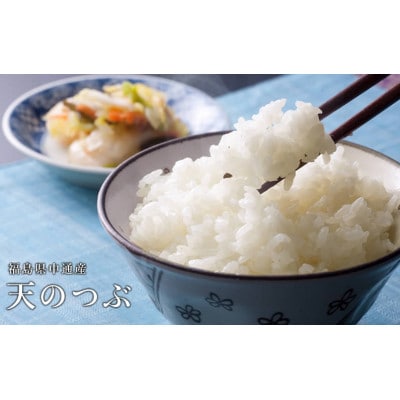 【新米受付】令和8年産須賀川市産天のつぶ　精米20kg(5kg×4袋)