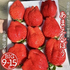 須賀川産いちご「甘園房~あまえんぼう~」BIGサイズ 1パック(9粒~15粒)