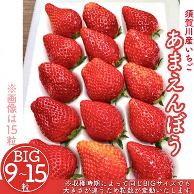 須賀川産いちご「甘園房~あまえんぼう~」BIGサイズ 1パック(9粒~15粒)