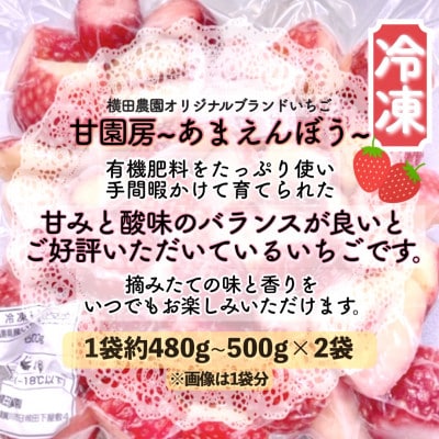 冷凍いちご「甘園房~あまえんぼう~」 約1kg(約500g×2袋) | 福島