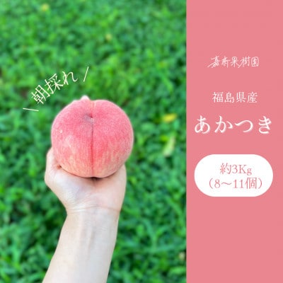 【2025年先行受付】嘉斎果樹園の桃「あかつき」約3kg　【発送予定:7月下旬頃～】