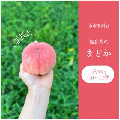 【2024年先行受付】嘉斎果樹園の桃「まどか」約3kg　【発送予定:8月8日～】