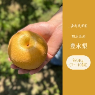 【2024年先行受付】嘉斎果樹園の梨「豊水」約3kg　【発送予定:9月中旬～】