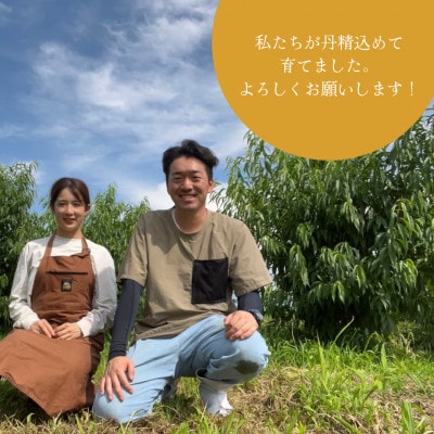 【2024年先行受付】嘉斎果樹園の梨「豊水」約3kg　【発送予定:9月中旬～】