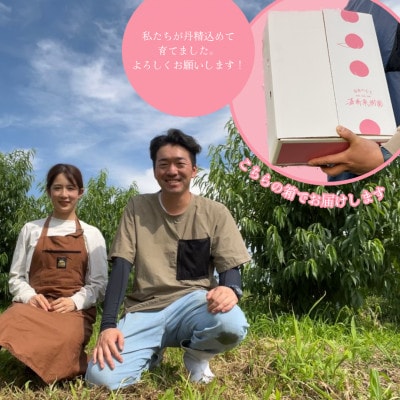 【2024年先行受付】嘉斎果樹園の桃「川中島白桃」約3kg　【発送予定:8月20日～】