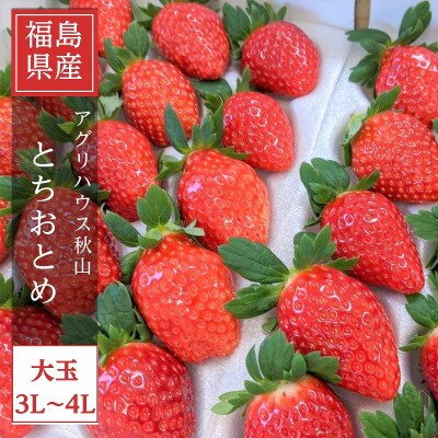 【アグリハウス秋山】 とちおとめ デラックス3L～4L 大玉 24～30粒