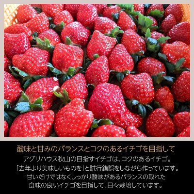 【アグリハウス秋山】 とちおとめ デラックス3L～4L 大玉 24～30粒