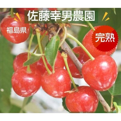 さくらんぼ 【佐藤幸男農園】 佐藤錦 ML混合 1kg バラ詰