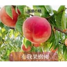 桃 【有我果樹園】 品種色々 ミックス 3kg 8～12玉