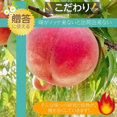 桃 【有我果樹園】 品種色々 ミックス 5kg 12～16玉 贈答用