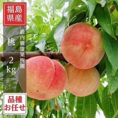 桃 【箭内厳雄果樹園】 もも 2kg 5～9玉 品種おまかせ 贈答用