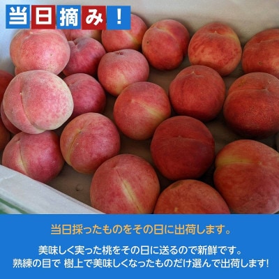 桃 【箭内厳雄果樹園】 もも 3kg　10～13玉 品種おまかせ 贈答用