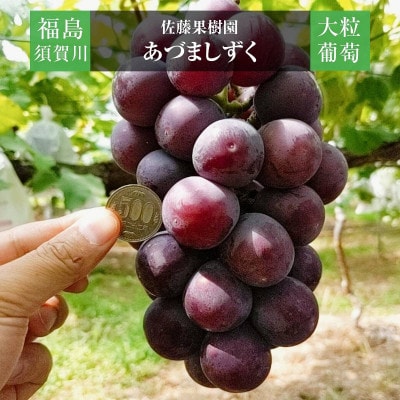ぶどう 【佐藤果樹園】 あづましずく 1.5kg(2～3房) 贈答用