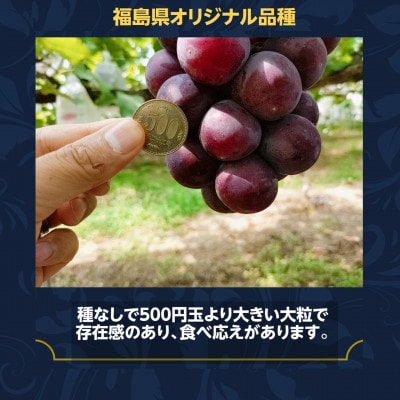 ぶどう 【佐藤果樹園】 あづましずく 1.5kg(2～3房) 贈答用