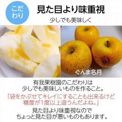 りんご 【有我果樹園】 中玉 18～20個 5kg