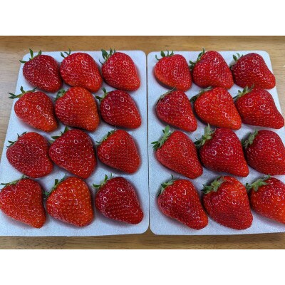 いちご 【アグリハウス秋山】 食べ比べ「ゆうやけベリー」「とちおとめ」 各12～15個