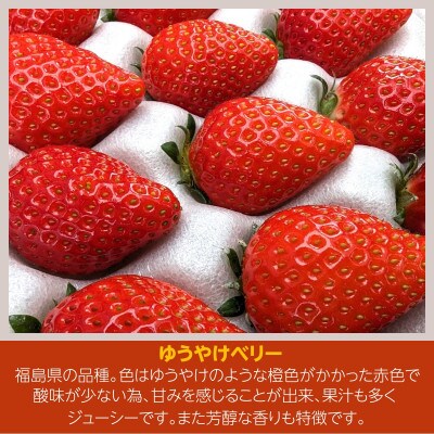 いちご 【アグリハウス秋山】 食べ比べ「ゆうやけベリー」「とちおとめ」 各12～15個