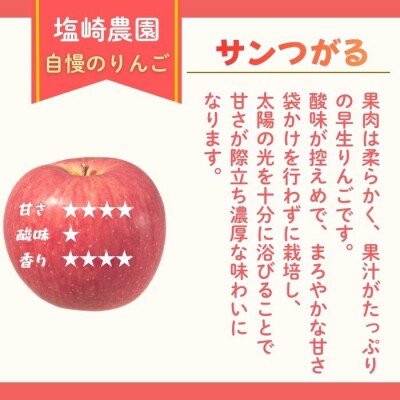 【先行予約丨2026年9月上旬より順次発送】サンつがる【約2.5kg(6～12玉)】