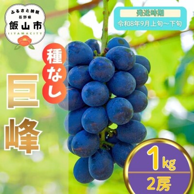 【先行予約丨2026年9月上旬より順次発送】種なし巨峰【約1kg(2房あたり)】