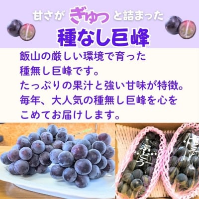 【先行予約丨2026年9月上旬より順次発送】種なし巨峰【約1kg(2房あたり)】