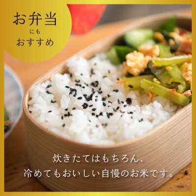 【令和7年産】北信州みゆき 幻の米 コシヒカリ 精米 5kg (5kg×1袋)