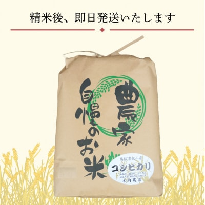 【令和7年産】コシヒカリ～木内ファームのお米～ 精米 5kg(5kg×1袋)