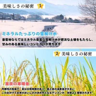 【令和7年産】コシヒカリ～木内ファームのお米～ 精米 10kg(10kg×1袋)